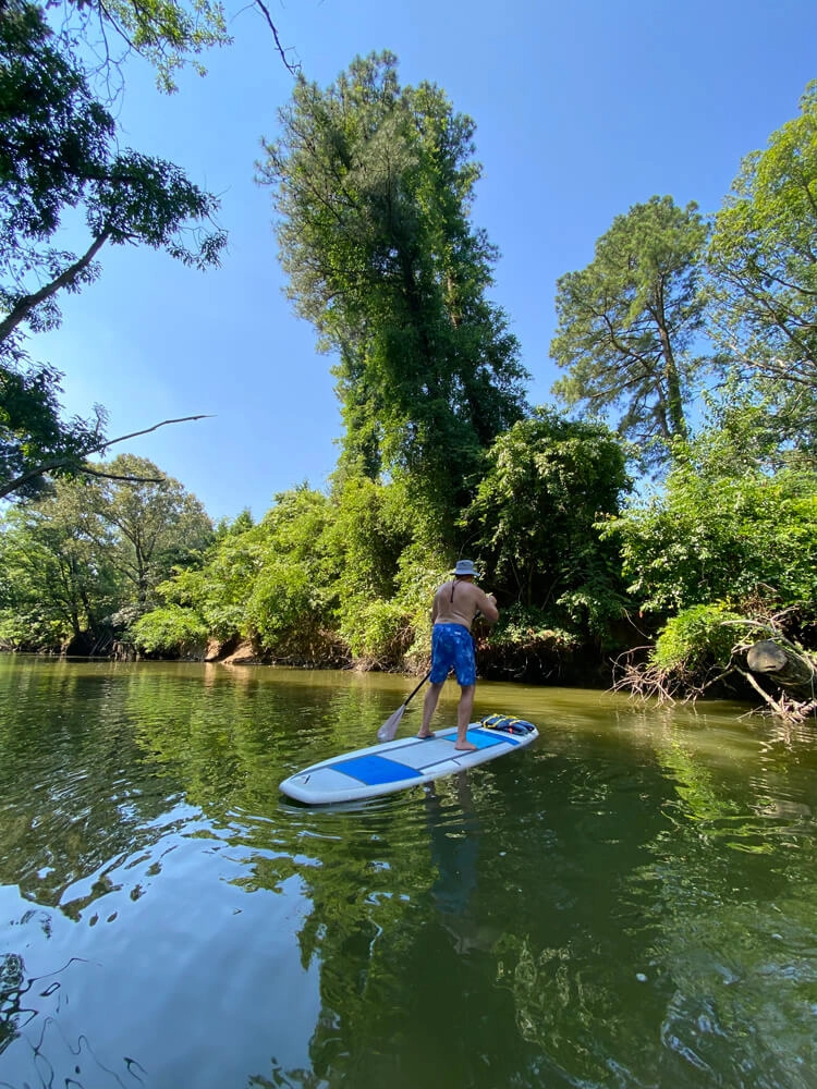 Paddleboard Tours & Rentals - 6